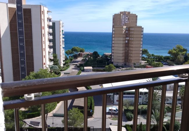 Estudio en Dehesa de Campoamor - 1809E